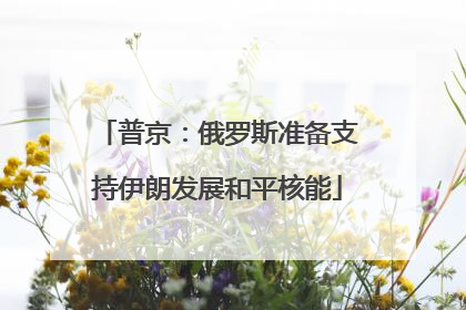 普京：俄罗斯准备支持伊朗发展和平核能