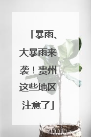 暴雨、大暴雨来袭！贵州这些地区注意了