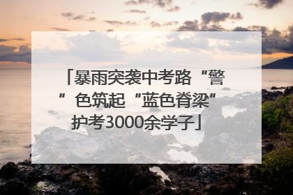 暴雨突袭中考路“警”色筑起“蓝色脊梁”护考3000余学子