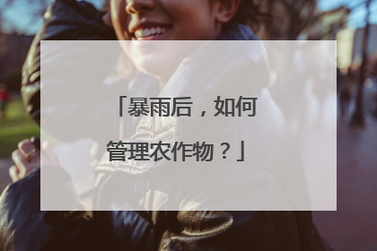 暴雨后，如何管理农作物？