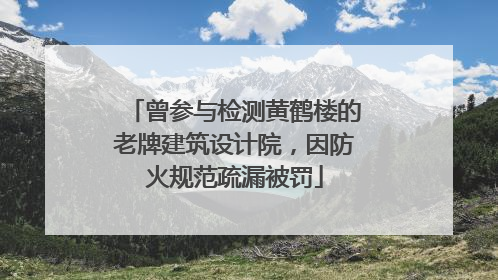 曾参与检测黄鹤楼的老牌建筑设计院，因防火规范疏漏被罚