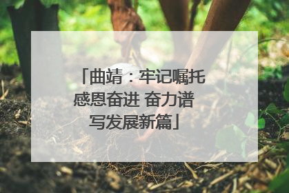 曲靖：牢记嘱托感恩奋进 奋力谱写发展新篇