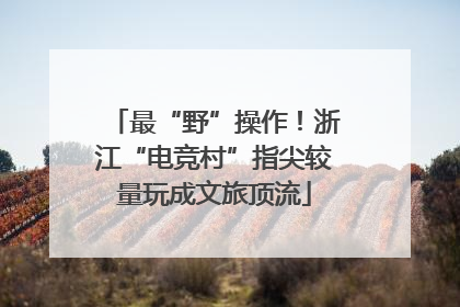 最“野”操作！浙江“电竞村”指尖较量玩成文旅顶流