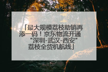 最大规模荔枝助销再添一码！京东物流开通“深圳-武汉-西安” 荔枝全货机航线