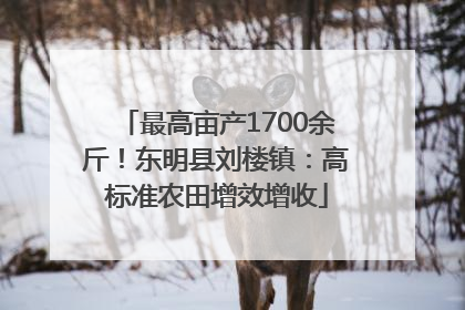 最高亩产1700余斤！东明县刘楼镇：高标准农田增效增收