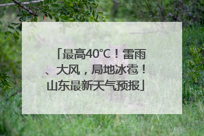 最高40℃！雷雨、大风，局地冰雹！山东最新天气预报