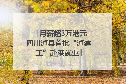 月薪超3万港元 四川泸县首批“泸建工”赴港就业