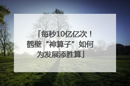 每秒10亿亿次！鹤壁“神算子”如何为发展添胜算