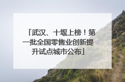 武汉、十堰上榜！第一批全国零售业创新提升试点城市公布