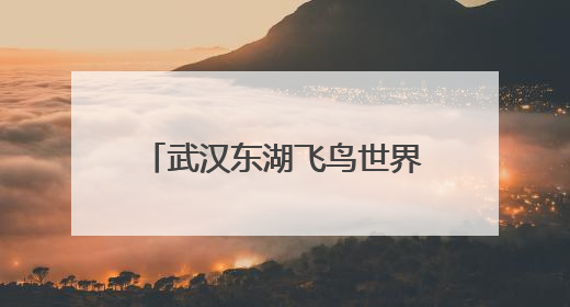 武汉东湖飞鸟世界迎来历史性突破