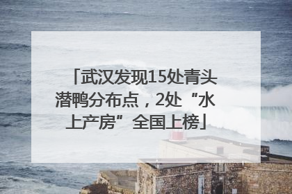 武汉发现15处青头潜鸭分布点，2处“水上产房”全国上榜