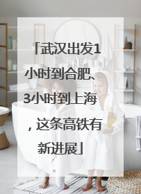 武汉出发1小时到合肥、3小时到上海，这条高铁有新进展