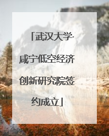 武汉大学·咸宁低空经济创新研究院签约成立