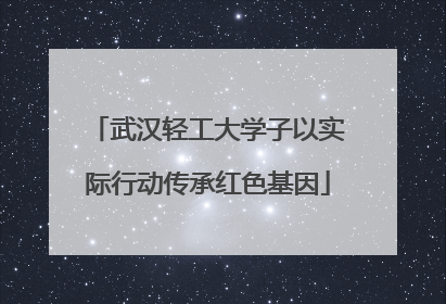 武汉轻工大学子以实际行动传承红色基因