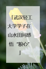 武汉轻工大学学子在山水田间感悟“粮心”
