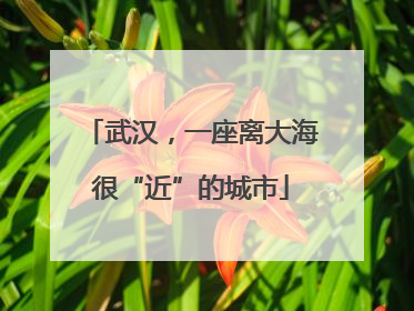 武汉，一座离大海很“近”的城市