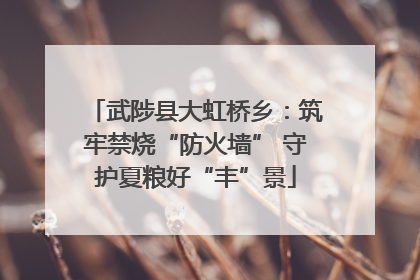 武陟县大虹桥乡：筑牢禁烧“防火墙” 守护夏粮好“丰”景
