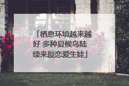 栖息环境越来越好 多种夏候鸟陆续来厦恋爱生娃