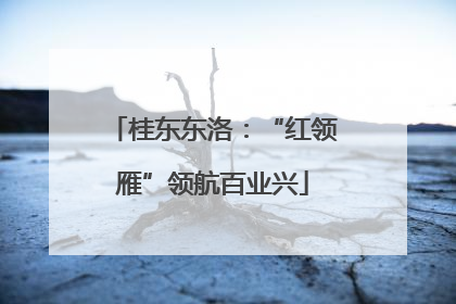 桂东东洛：“红领雁”领航百业兴