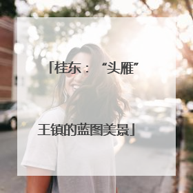 桂东：“头雁”王镇的蓝图美景