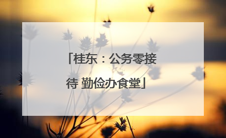 桂东：公务零接待 勤俭办食堂