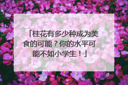 桂花有多少种成为美食的可能？你的水平可能不如小学生！