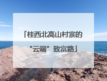 桂西北高山村寨的“云端”致富路