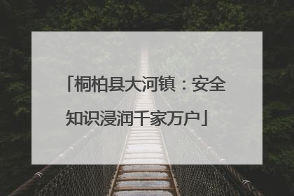 桐柏县大河镇：安全知识浸润千家万户