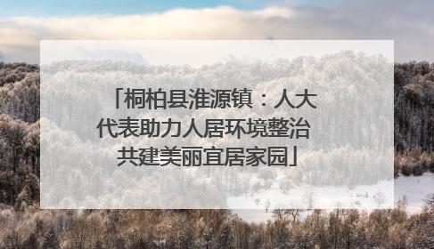 桐柏县淮源镇：人大代表助力人居环境整治 共建美丽宜居家园