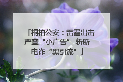 桐柏公安：雷霆出击严查“小广告” 斩断电诈“黑引流”
