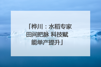 桦川：水稻专家田间把脉 科技赋能单产提升