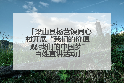 梁山县杨营镇同心村开展“我们的价值观·我们的中国梦”百姓宣讲活动