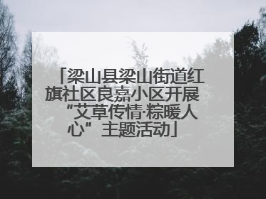 梁山县梁山街道红旗社区良嘉小区开展“艾草传情·粽暖人心”主题活动