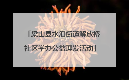 梁山县水泊街道解放桥社区举办公益理发活动
