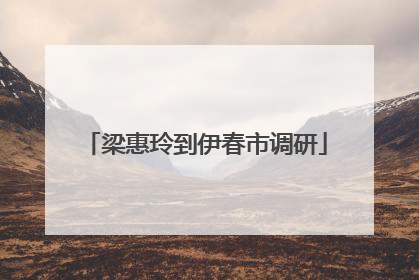 梁惠玲到伊春市调研
