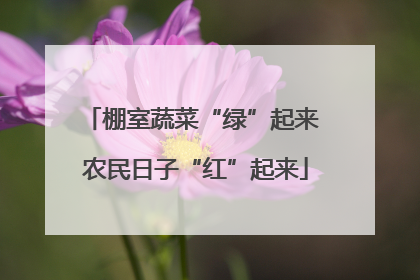 棚室蔬菜“绿”起来 农民日子“红”起来