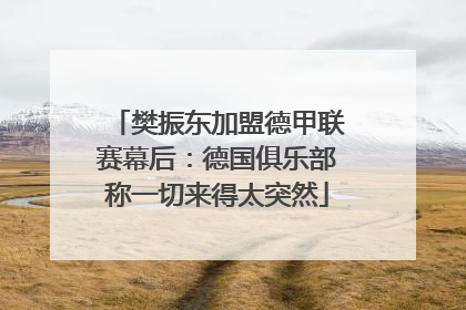樊振东加盟德甲联赛幕后：德国俱乐部称一切来得太突然