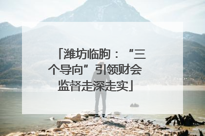 潍坊临朐：“三个导向”引领财会监督走深走实