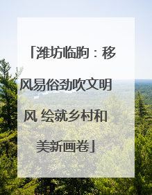 潍坊临朐：移风易俗劲吹文明风 绘就乡村和美新画卷