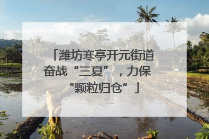 潍坊寒亭开元街道奋战“三夏”，力保“颗粒归仓”