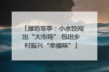 潍坊寒亭：小水饺闯出“大市场” 包出乡村振兴“幸福味”