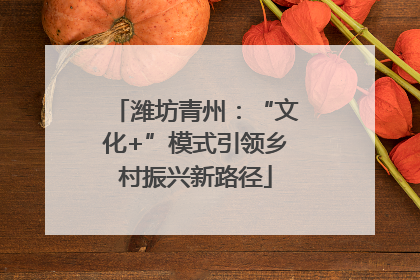 潍坊青州：“文化+”模式引领乡村振兴新路径