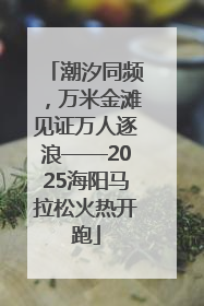 潮汐同频，万米金滩见证万人逐浪——2025海阳马拉松火热开跑