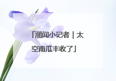 潮闻小记者｜太空南瓜丰收了