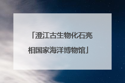 澄江古生物化石亮相国家海洋博物馆