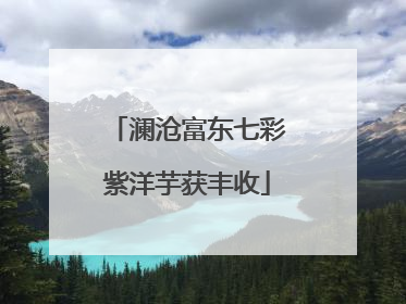 澜沧富东七彩紫洋芋获丰收