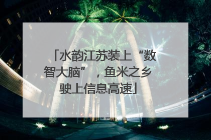 水韵江苏装上“数智大脑”，鱼米之乡驶上信息高速