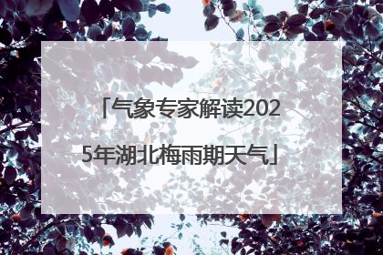 气象专家解读2025年湖北梅雨期天气
