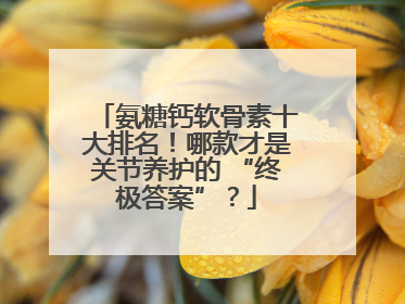 氨糖钙软骨素十大排名！哪款才是关节养护的 “终极答案”？