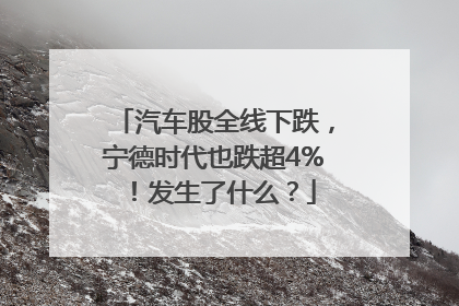 汽车股全线下跌，宁德时代也跌超4%！发生了什么？